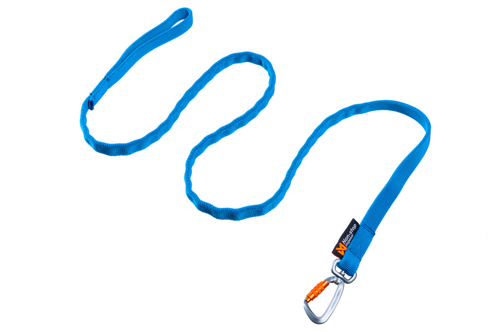 Bungee Leine