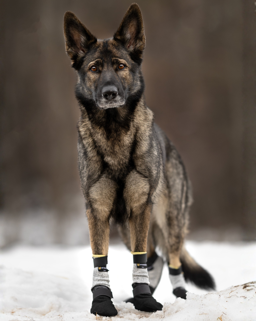 V.I.P. MAX PROTECT BOOTIE