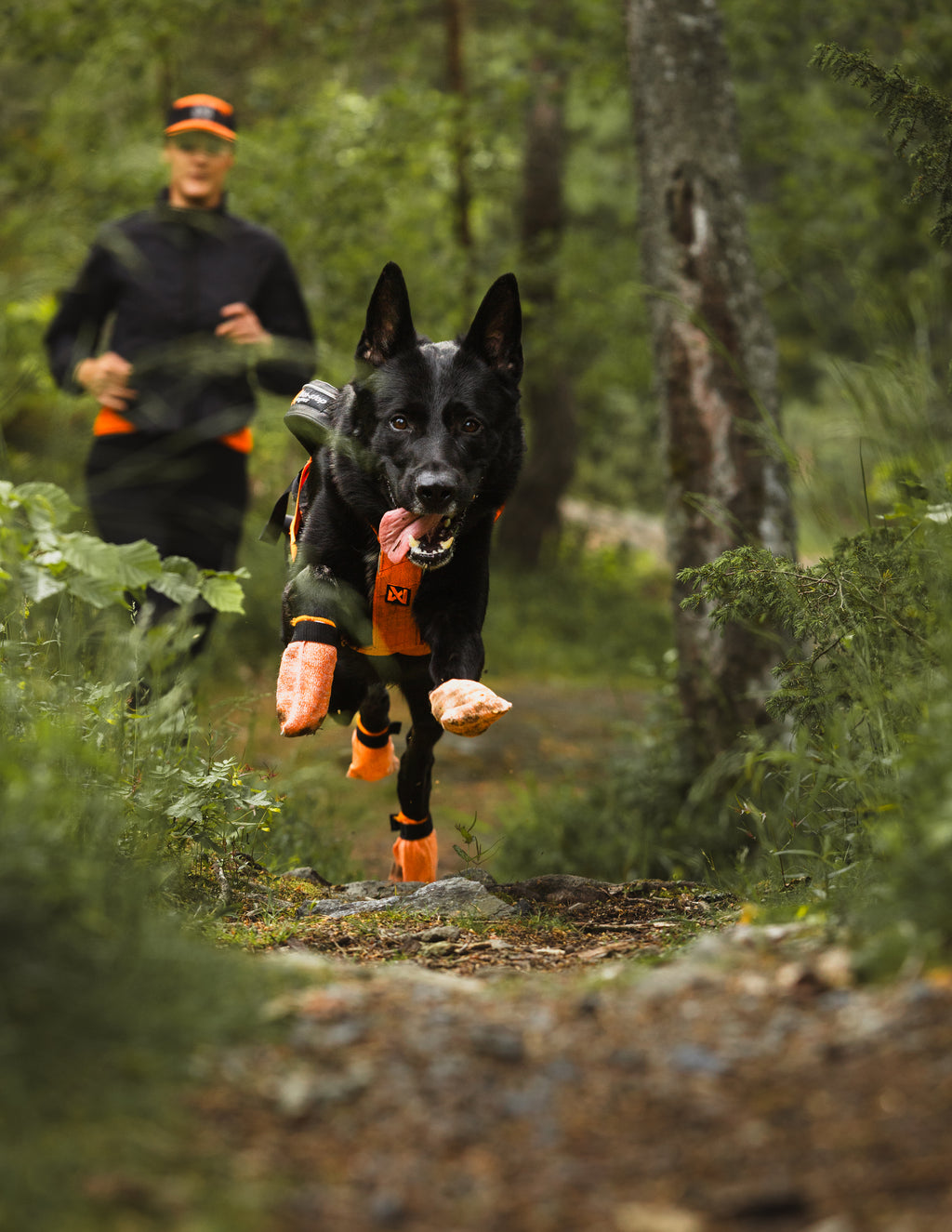 Protector Light -Socken