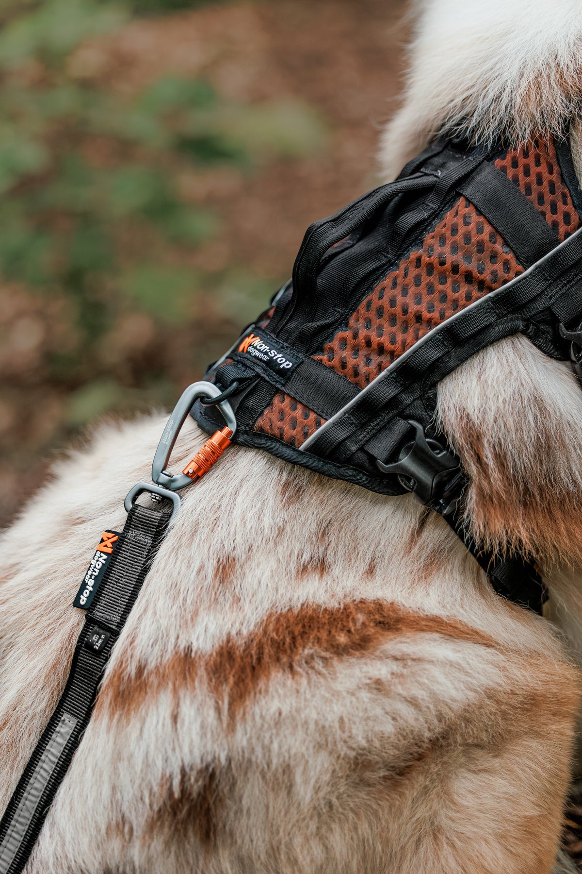 Rock harness long