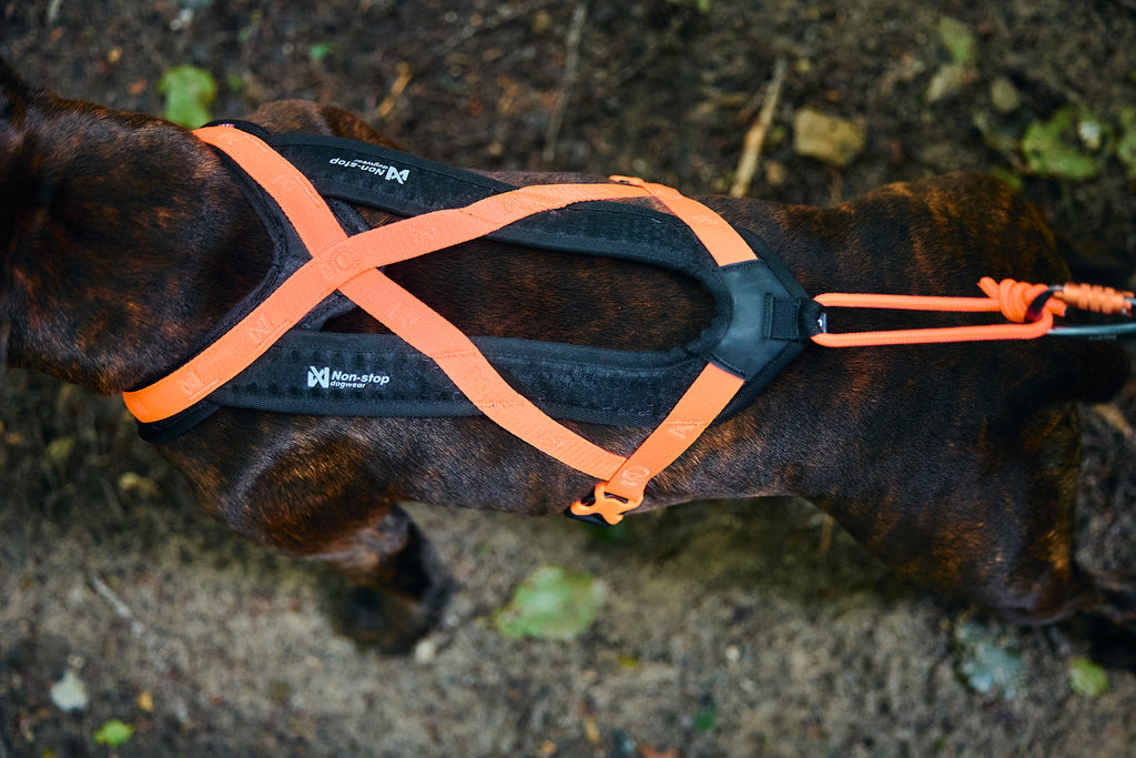 Rush Harness