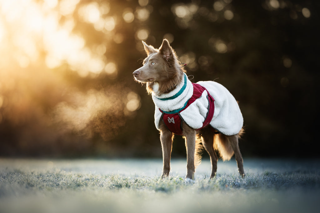 Trekking Fleece Hundemantel