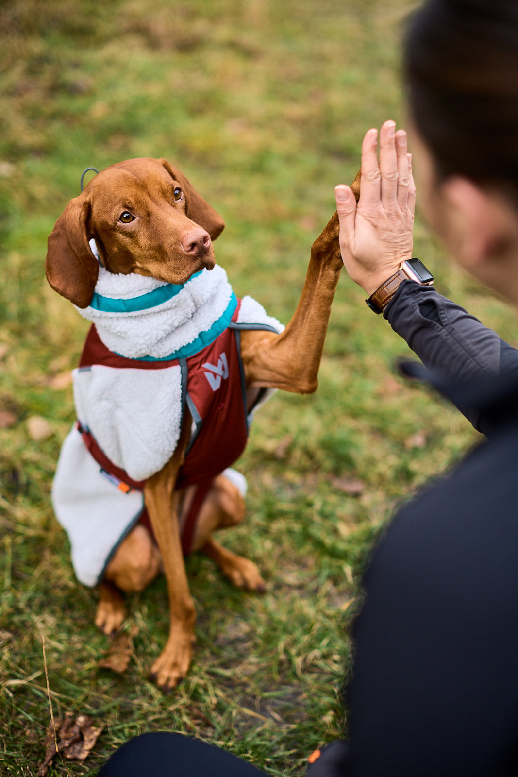 Trekking Fleece Hundemantel