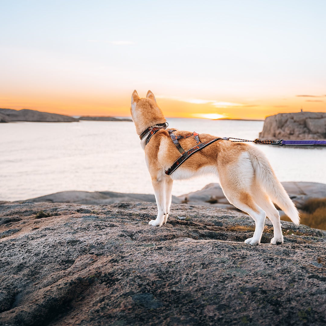 Gemeinsam weiter. Bei jedem Abenteuer.