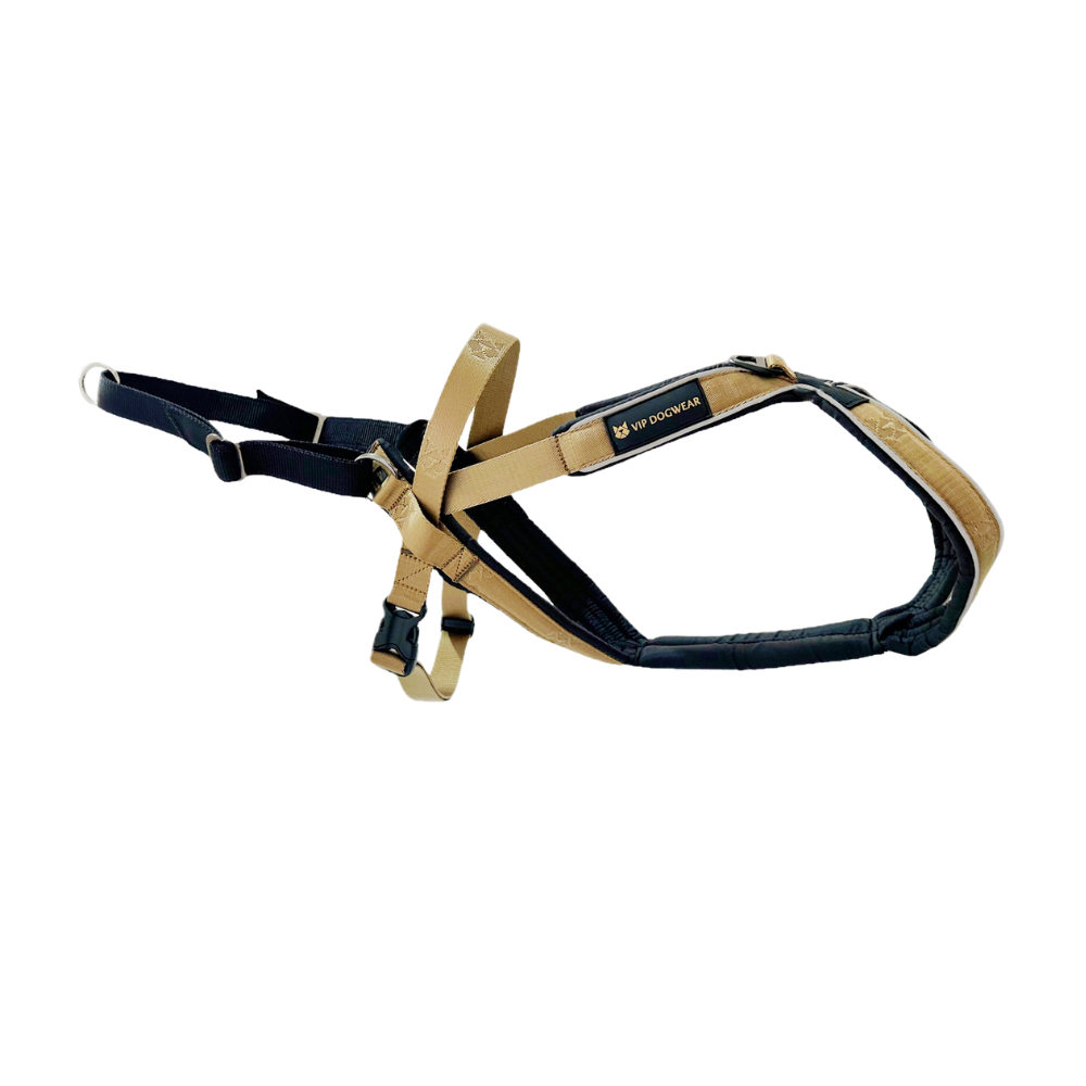 V.I.P. MULTISPORT