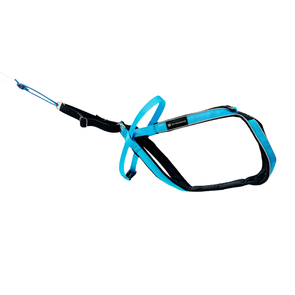 V.I.P. MULTISPORT
