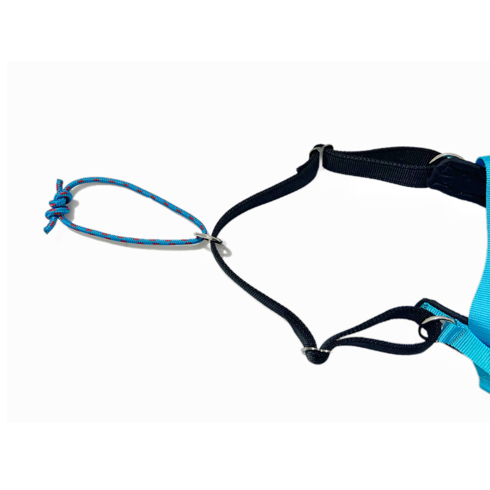 V.I.P. MULTISPORT