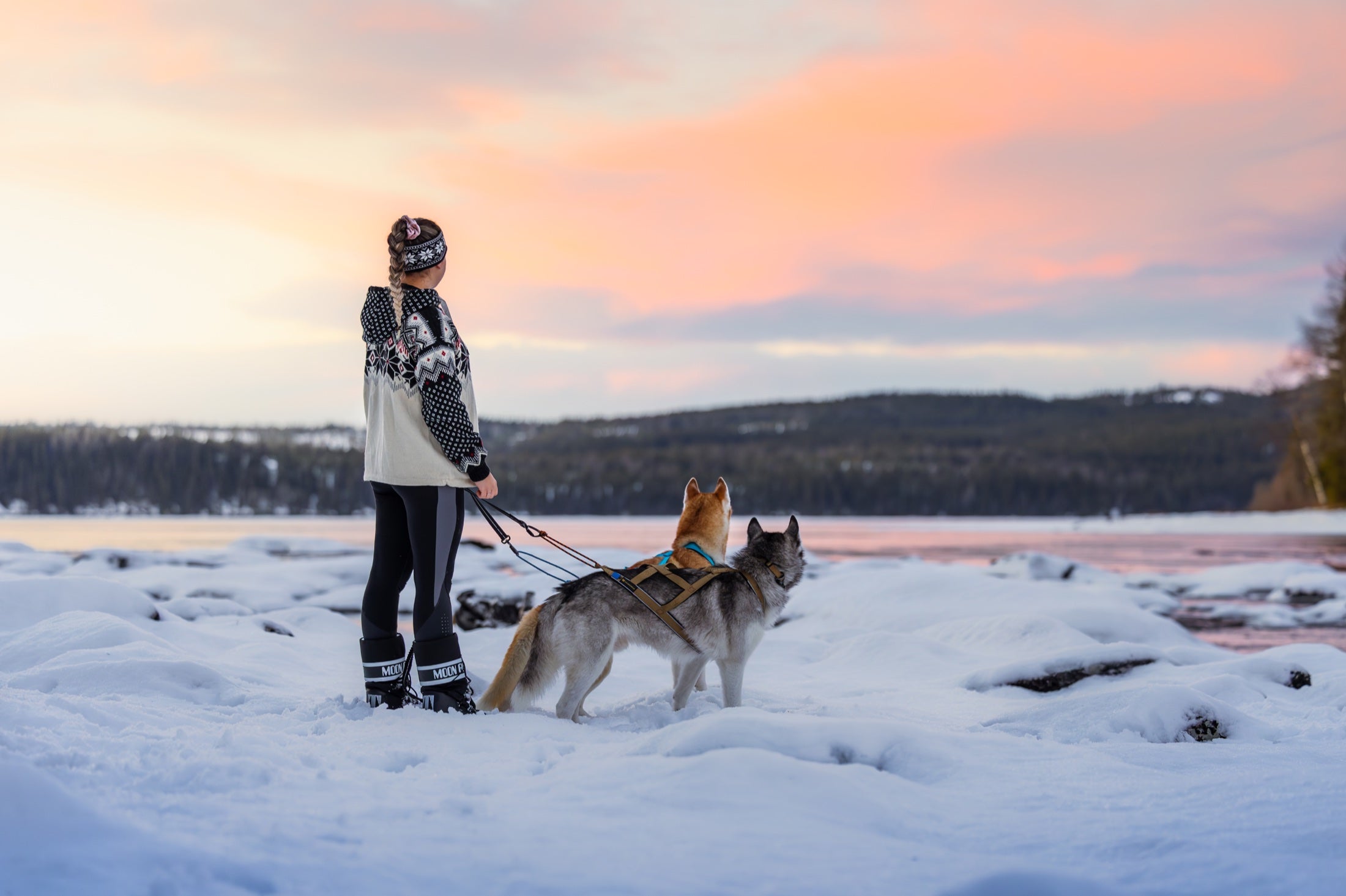 Francesca mit Iron und Nova in einer winterlichen Landschaft